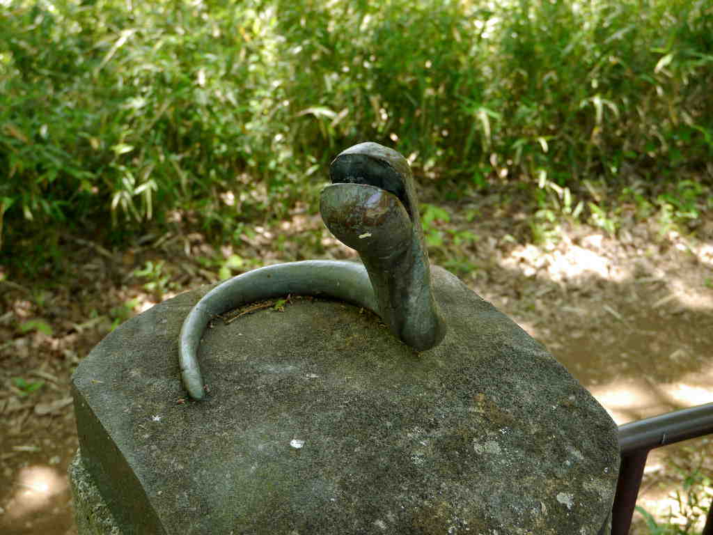 hebi