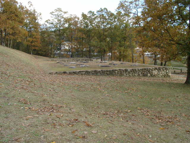 pic05.jpg